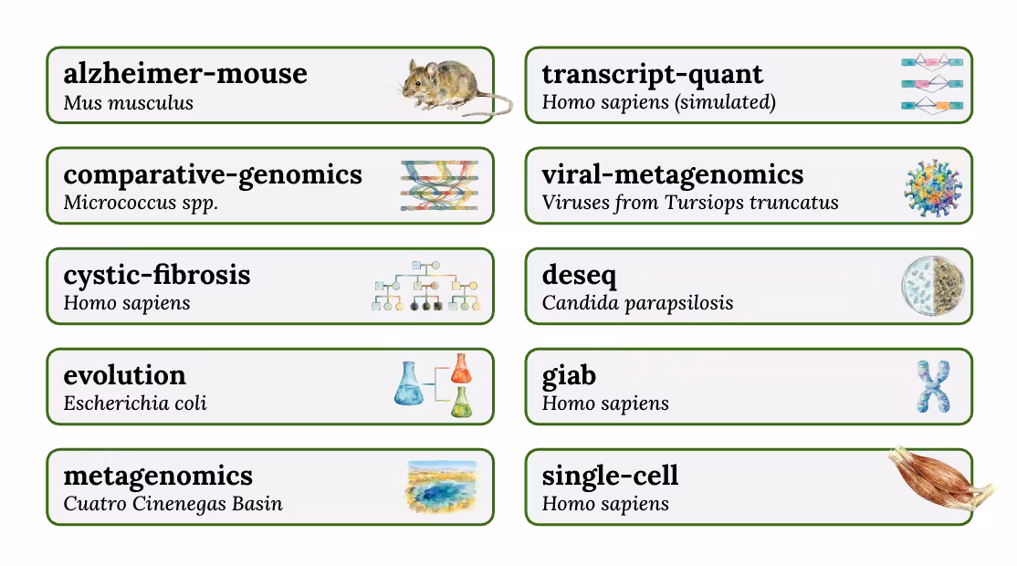 BioAgent Bench task coverage
